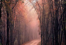 开云APP-曼联防线稳固，力拼阿尔艾因全力拿分