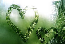 开云下载-西悉尼流浪者挑战蒙特雷，南美德比激烈升级