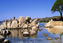 开云APP-塔斯马尼亚联球员团队氛围良好，备战世俱杯信心满满