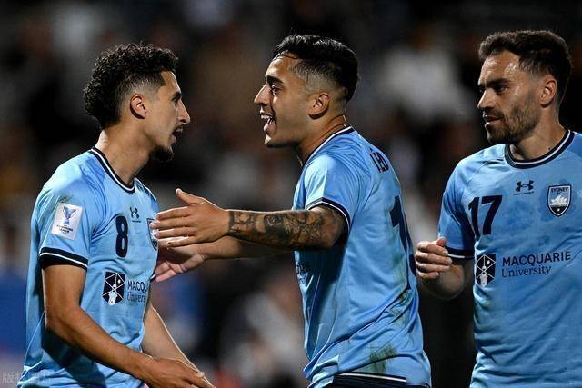 悉尼FC球员遭遇伤病，影响球队亚冠小组赛表现的简单介绍