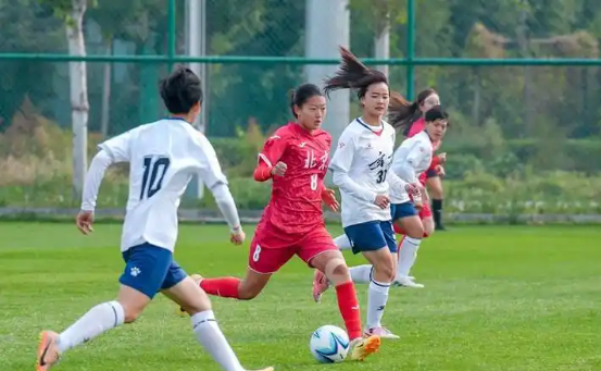 包含场上的风云人物：女足明星们的荣耀时刻的词条