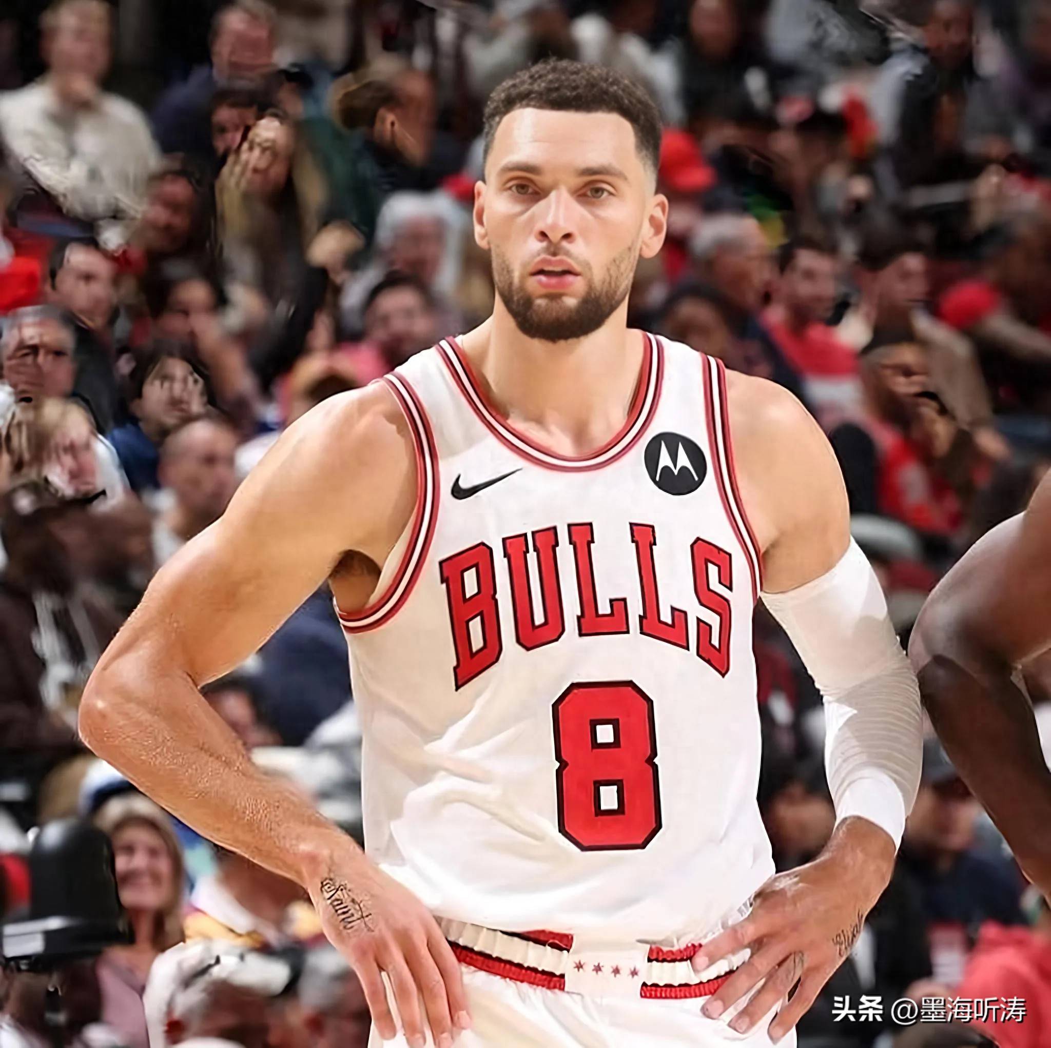 包含公牛队球员与粉丝互动的词条