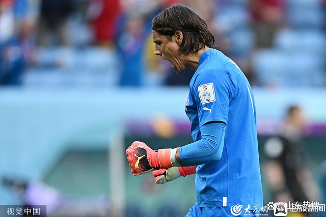 瑞士雄狮队豪取胜利，晋级下一轮