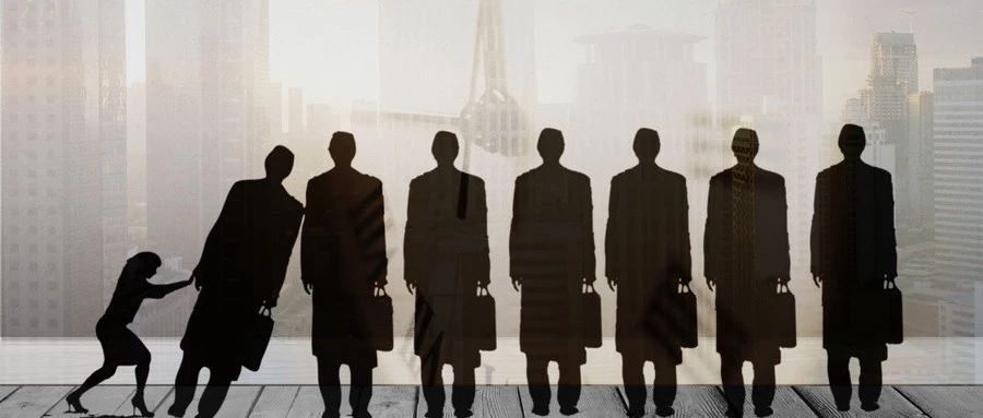 开云体育官方网站-萨尔加多新秀展现才华，逐渐成为主力的简单介绍