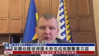 开云体育APP下载-伯哈夫斯汉击败维洛弗尼，抢夺榜首的简单介绍