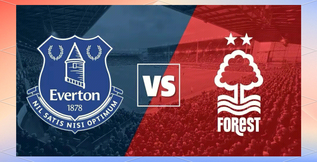 埃弗顿新援表现抢眼，助球队拿下重要胜利的简单介绍