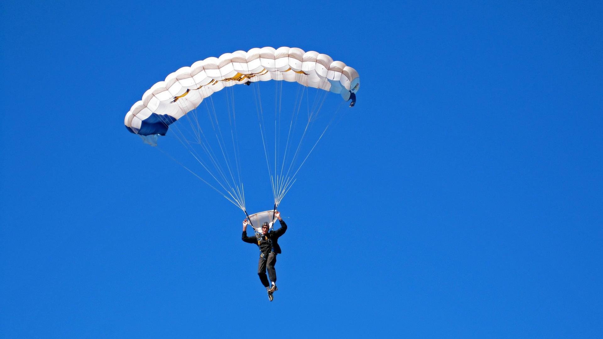 11:0横扫瑞典！韩国队的秘密武器竟是波尔